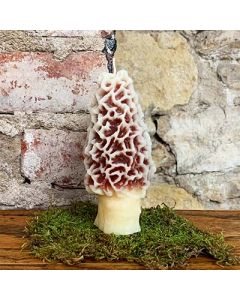 Large Morel Mushroom